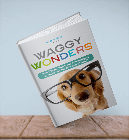 waggy-wonders